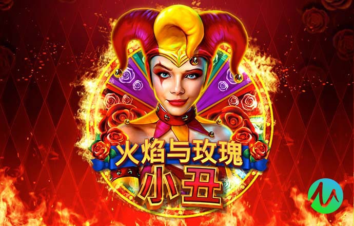 新澳精准资料免费提供网